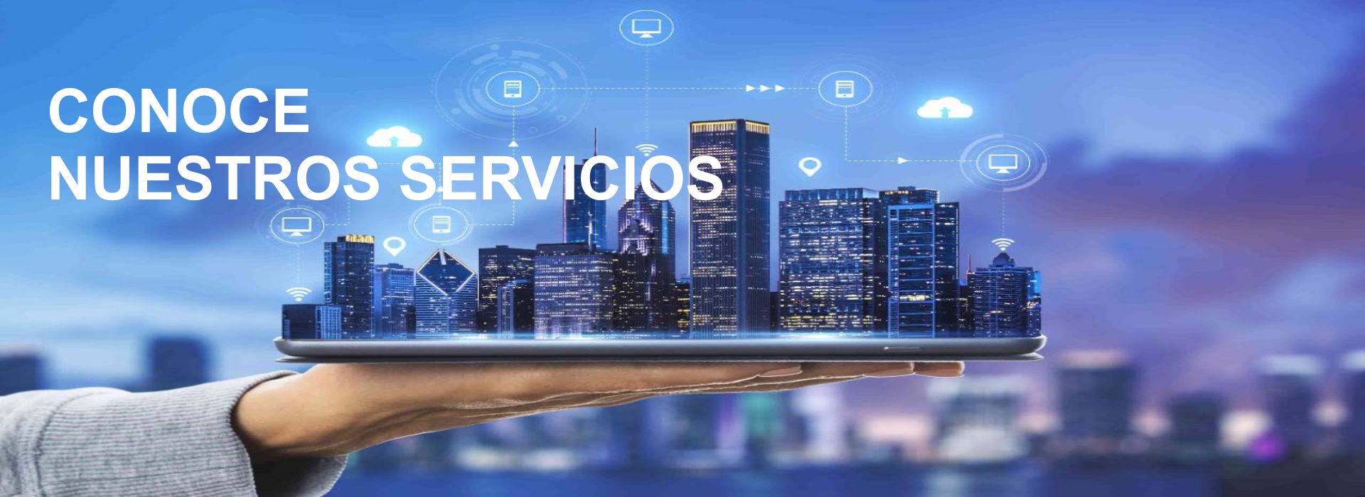 Servicios